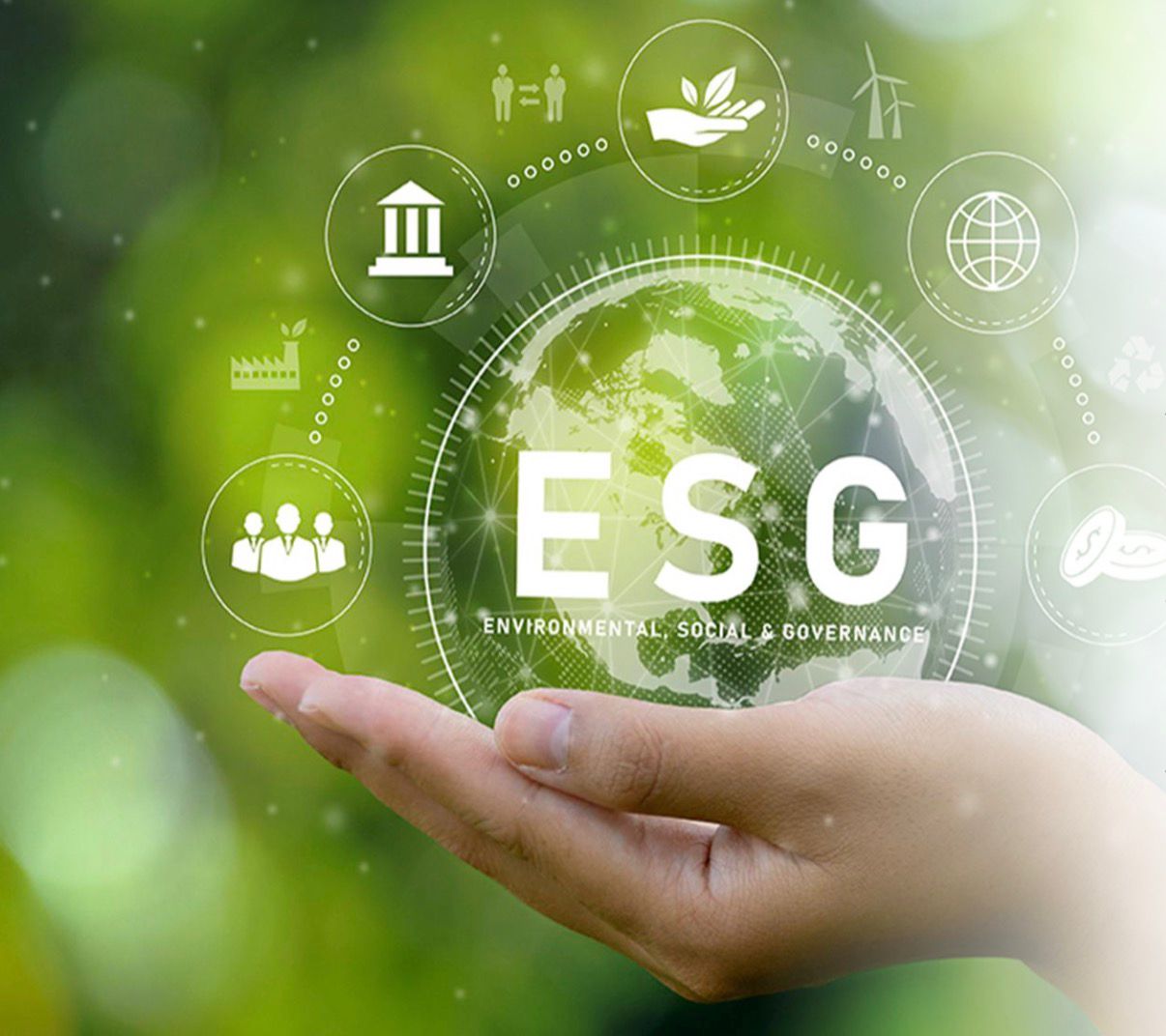Nachhaltigkeit & ESG – Environmental, Social & Governance in der Immobilienwirtschaft